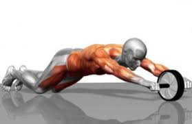 RUEDA ABDOMINAL SIMPLE VOLKO