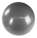 Pelota de Esferodinamia Power Tech - Fitball
