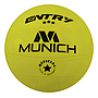 PELOTA DE VOLEY MUNICH ENTRY